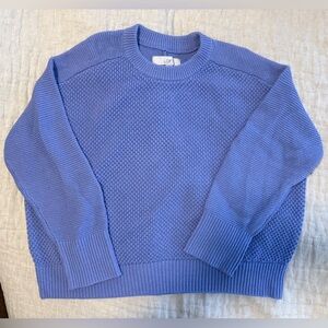 LOFT Cozy Chunky Knit Sweater